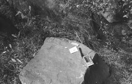 NMSA 03 6328P