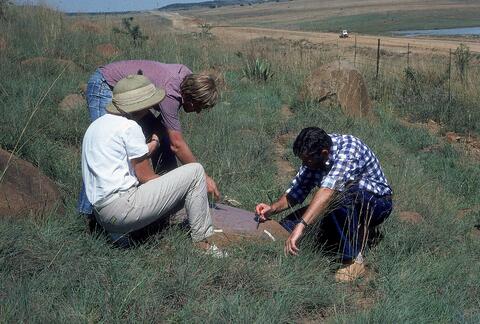 Open original Digital object