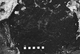 NMSA 03 2615P