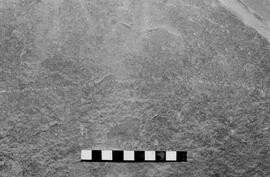 NMSA 03 5786P