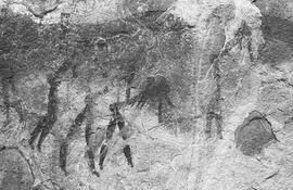 NMSA 03 7889P