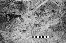 NMSA 03 3207P