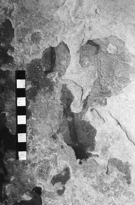 NMSA 03 4265P