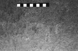 NMSA 03 4590P