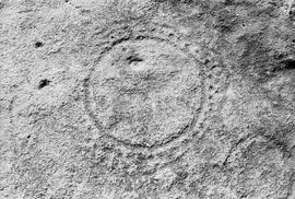 NMSA 03 7912P