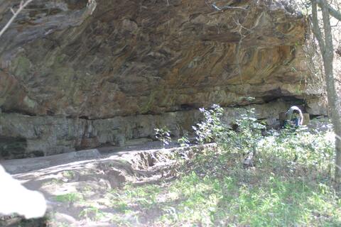 Open original Digital object