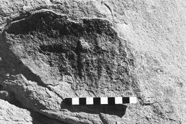 NMSA 03 2804P