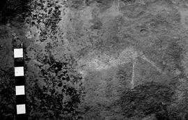 NMSA 03 4195P