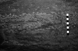 NMSA 03 3951P