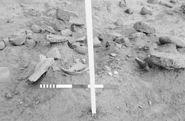 NMSA 03 519P