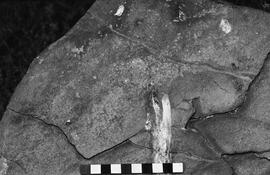 NMSA 03 6197P