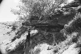 NMSA 03 626P