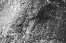 NMSA 03 8293P