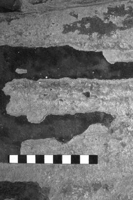 NMSA 03 3046P