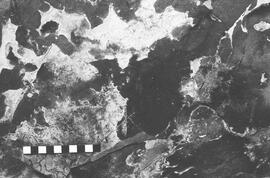NMSA 03 2620P