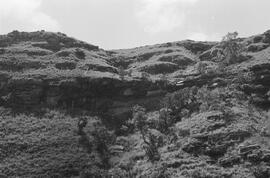 NMSA 03 1552P