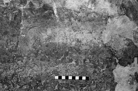 NMSA 03 4837P