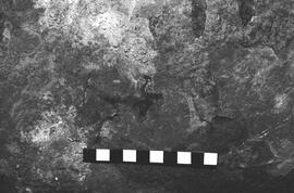 NMSA 03 6123P
