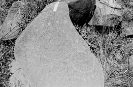 NMSA 03 7465P