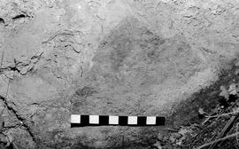 NMSA 03 6579P