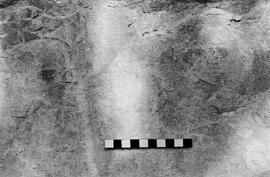 NMSA 03 5590P