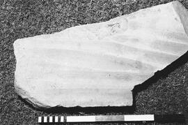 NMSA 03 605P