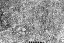 NMSA 03 6418P