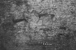 NMSA 03 6335P