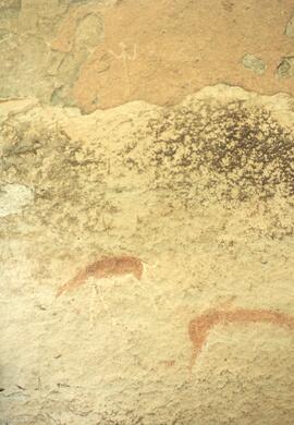 NMSA 02 246P