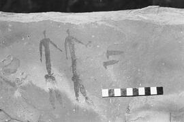 NMSA 03 1387P