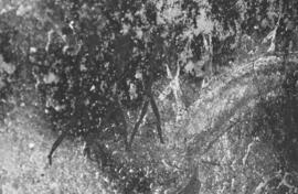 NMSA 03 8930P