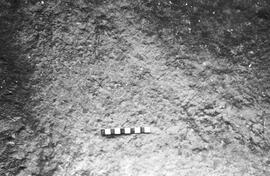 NMSA 03 1738P