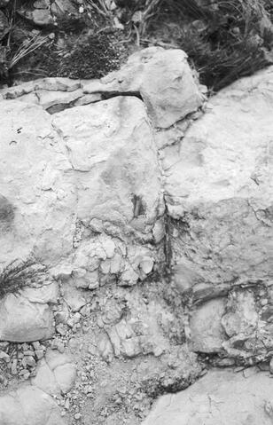 Open original Digitaal object