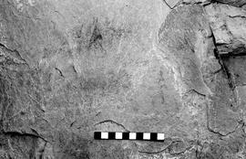 NMSA 03 4045P