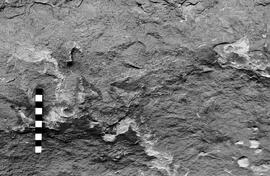 NMSA 03 3348P