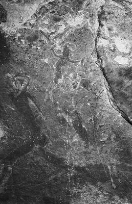 NMSA 03 7441P