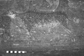 NMSA 03 7418P