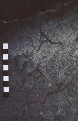 RSA SOL5 16