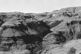 NMSA 03 3081P
