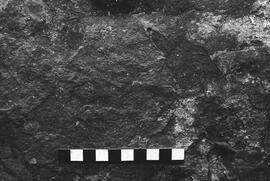 NMSA 03 2703P