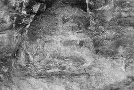 NMSA 03 7786P
