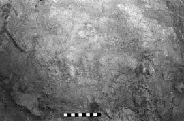 NMSA 03 6913P