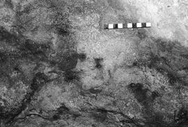 NMSA 03 4634P