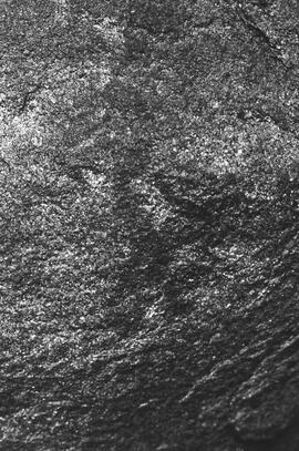 NMSA 03 216P