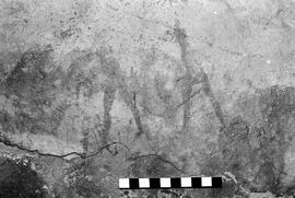 NMSA 03 5332P