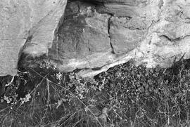 NMSA 03 6186P