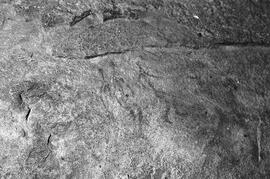 NMSA 03 8339P