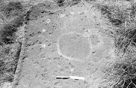 NMSA 03 7467P