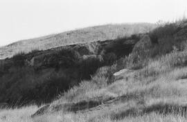 NMSA 03 7121N
