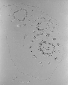 NMSA 03 8060P